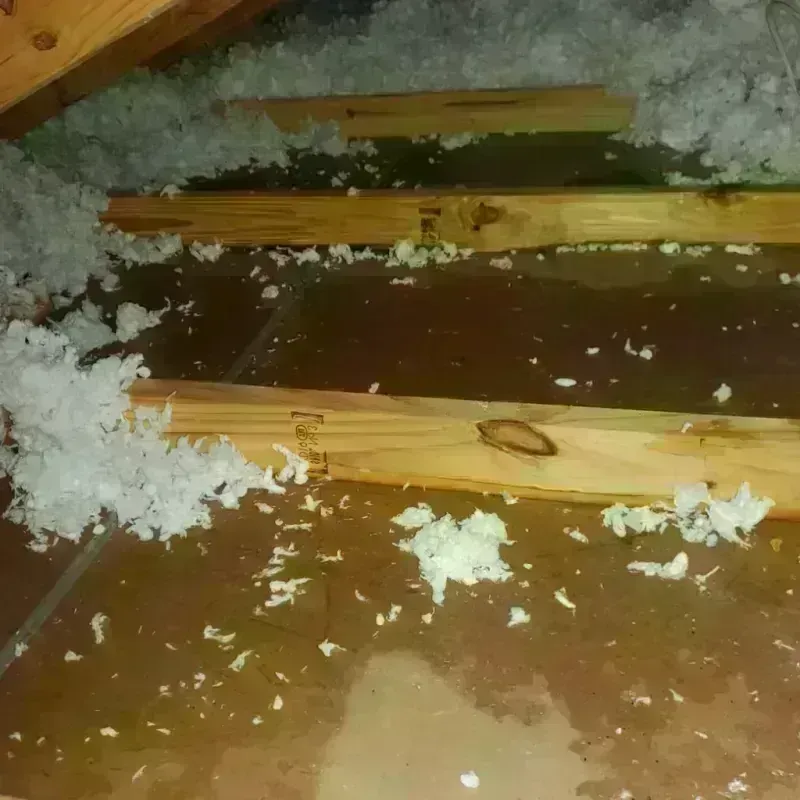 Attic Water Damage in Chauvin, LA